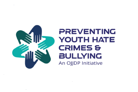 Recognizing and Combating Implicit Bias in the Juvenile Justice System: Educating Professionals Working With Youth